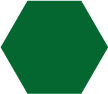 SESSAD