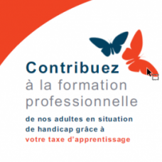 taxe-apprentissage-1-1024x730